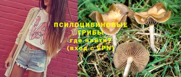 спайс Горняк