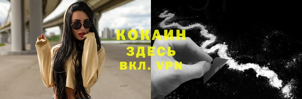 apvp Горнозаводск