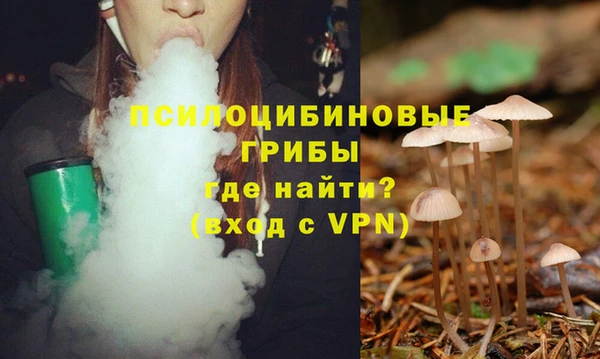 apvp Горнозаводск